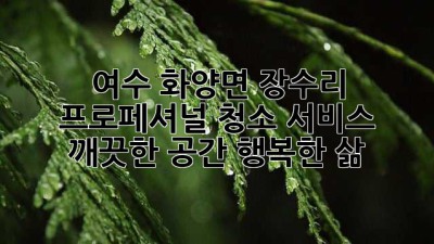 여수 화양면 장수리 프로페셔널 청소 서비스: 깨끗한 공간, 행복한 삶