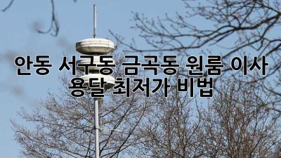 안동 서구동 금곡동 원룸 이사, 용달 최저가 비법!